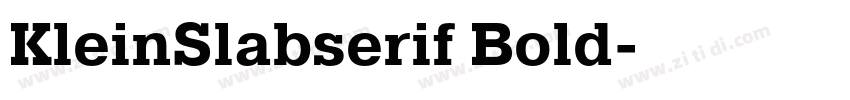 KleinSlabserif Bold字体转换